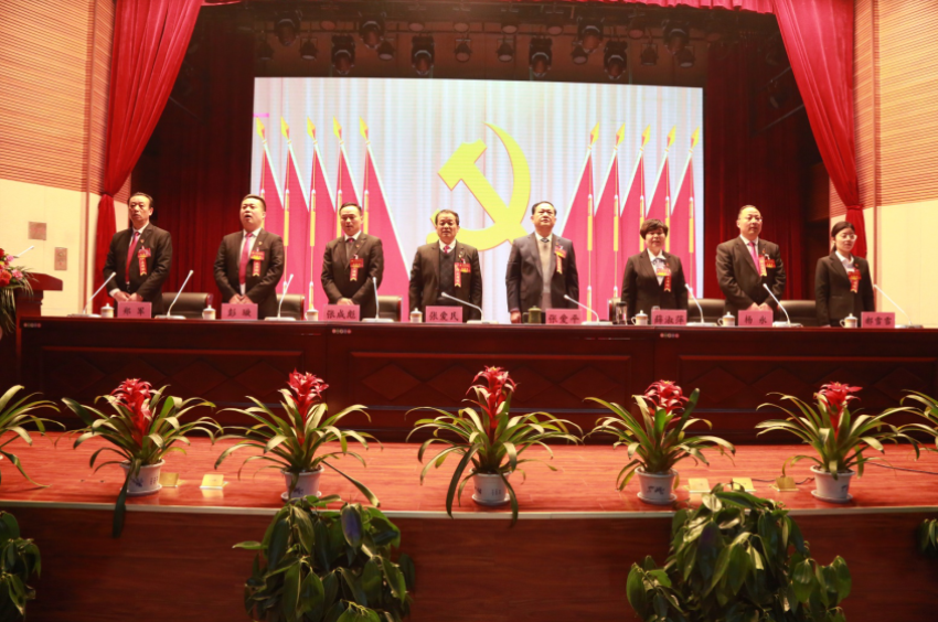 单双线上平台,单双（中国）隆重召开第一届党委班子选举大会
